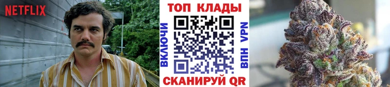 Где найти наркотики Шиханы A PVP  Бошки Шишки  COCAIN  МЕФ  ГАШ 