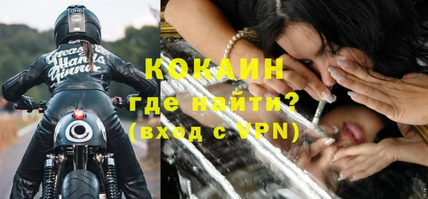 спайс Богданович