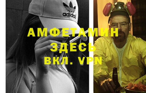спайс Богданович